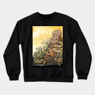 Epic Pygmy Owl says Wounds Become Wisdom Crewneck Sweatshirt